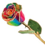 Aurora Neon Rainbow Rose Gold Trimmed