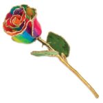 Aurora Neon Rainbow Rose Gold Trimmed