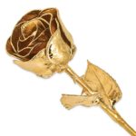 24k Gold Dipped Rose