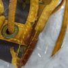 Louis Vuitton Noe Drawstring Bucket Bag - Image 6